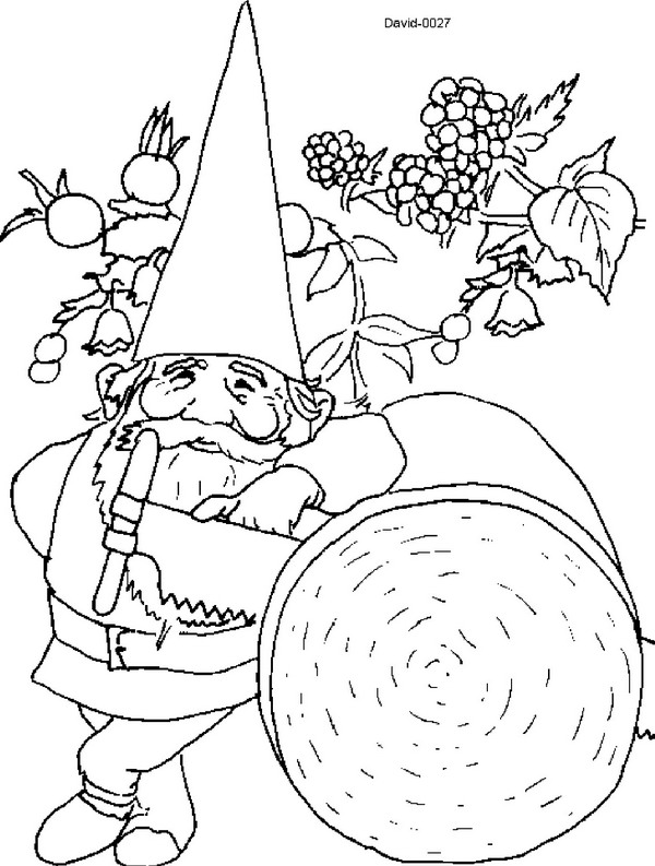 Kids-n-fun.com | Coloring page David the Gnome David the Gnome
